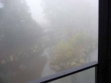 箱根：霧