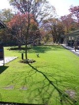 箱根の庭